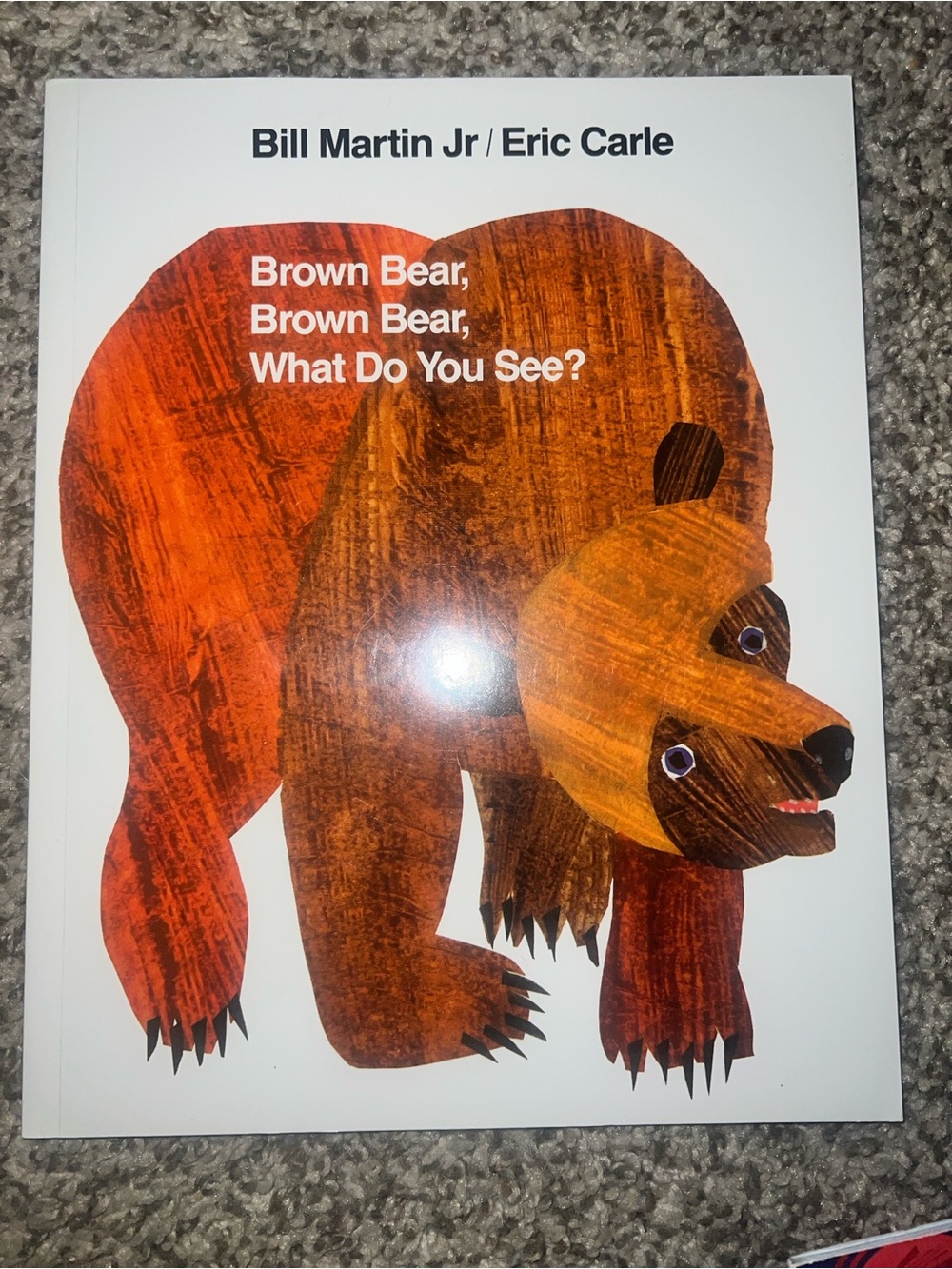 Brown Bear Picture Book for Early Learning - Brown, Orange